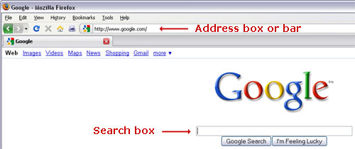 Google search Box