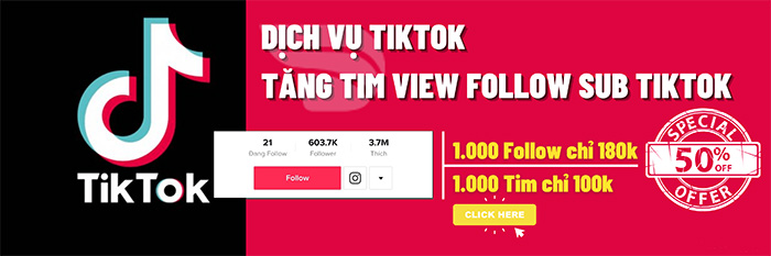 dich-vu-folowtiktokt