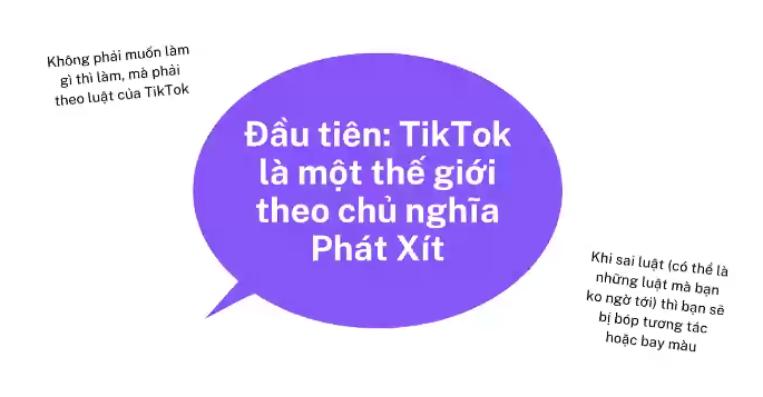 tiktok7
