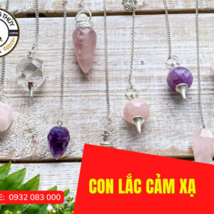con-lac-cam-xa2